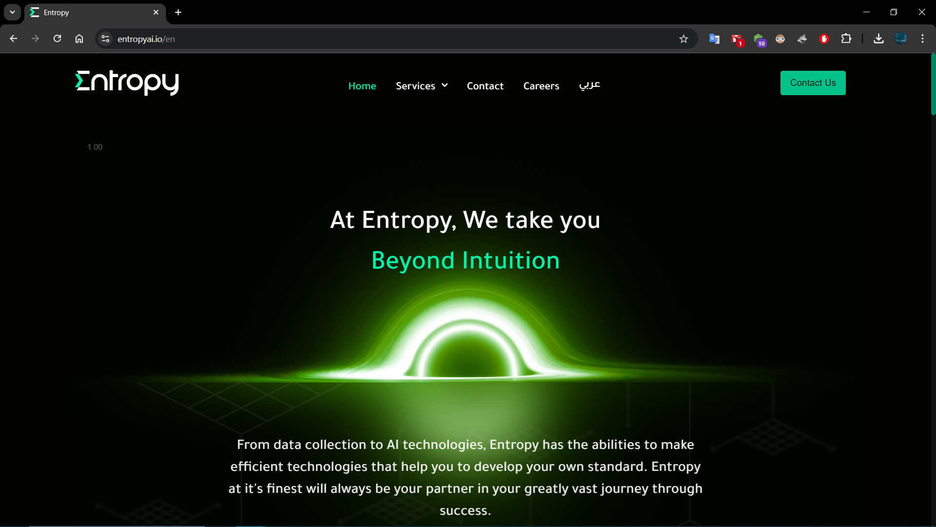 Entropy Compny Website